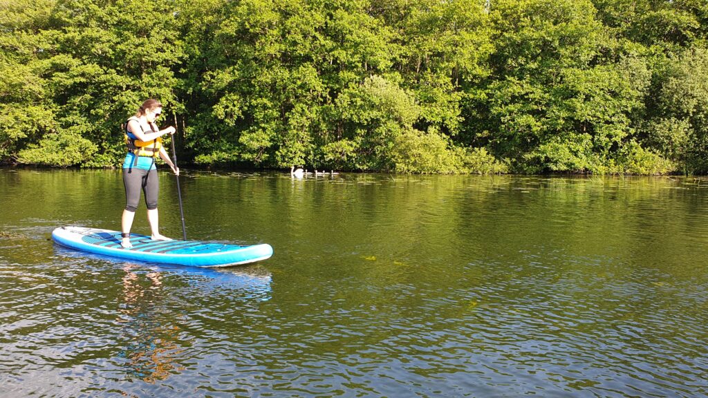 Paddleboard for begyndere