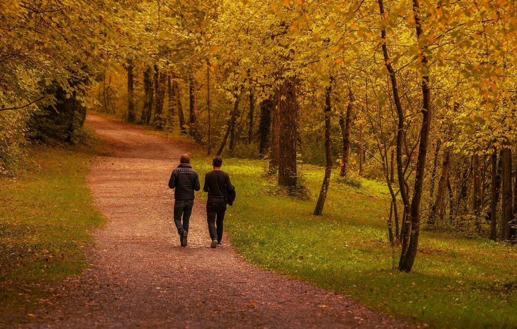 To i samtale i en skov