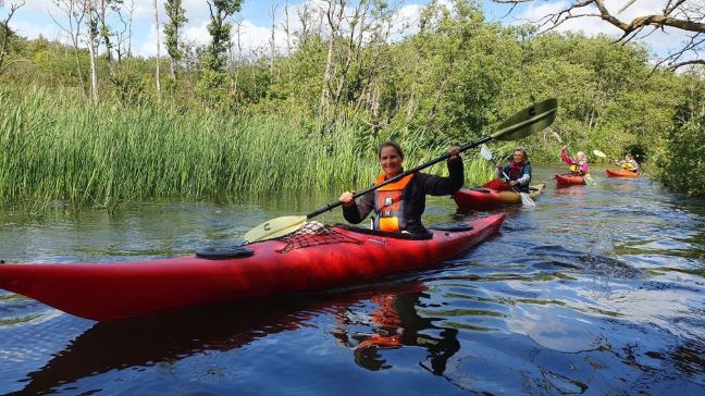 4 kajakker på en å med træer lang kanten
